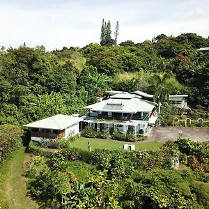 Belle Vue Kona Inc Bed & Breakfast