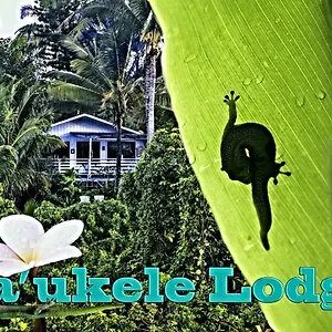 Ma'ukele Bed & Breakfast